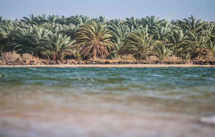 2 Days White Desert and Bahariya Oasis Tour