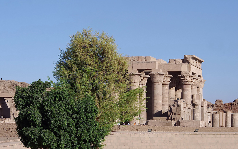 12 Days Cairo, Nile Cruise and Alexandria