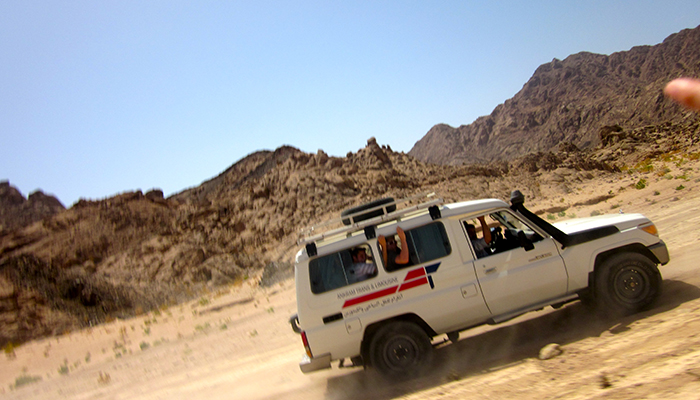 Safari at El Gouna
