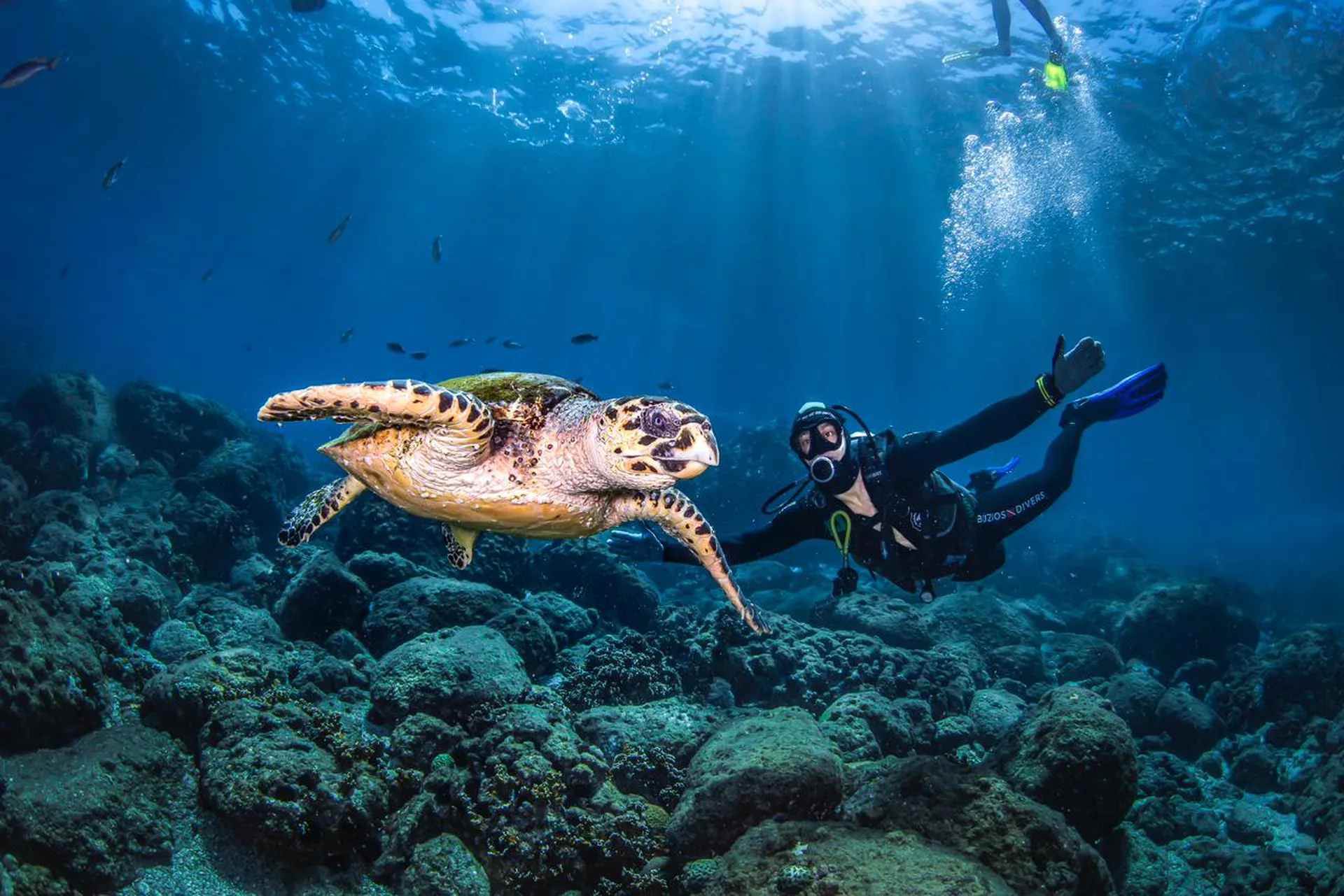 Scuba Diving in Nuweiba