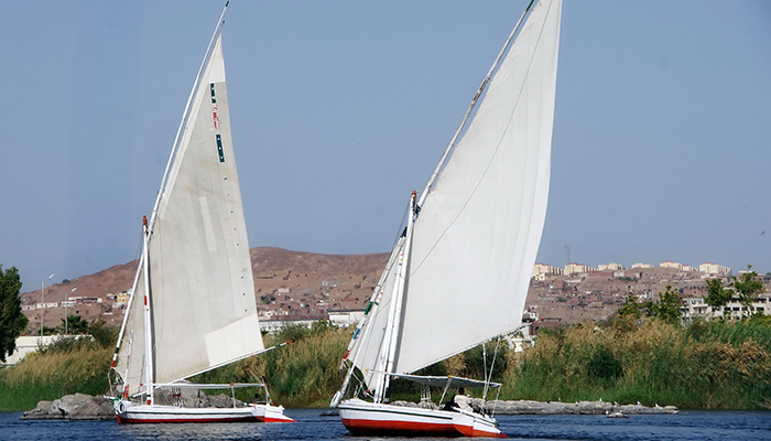 11 Days Cairo, Nile Cruise and the Red Sea