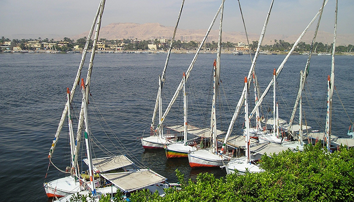 11 Days Cairo, Nile Cruise and the Red Sea