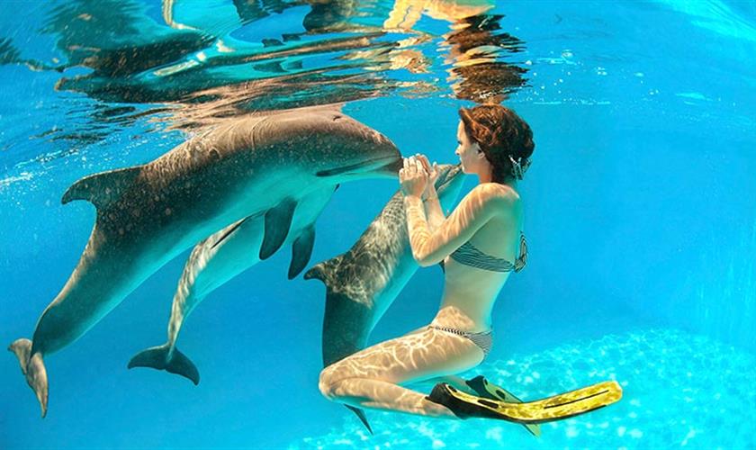 Snorkeling Day Tour at Marsa Alam in Satayh Dolphin Reef