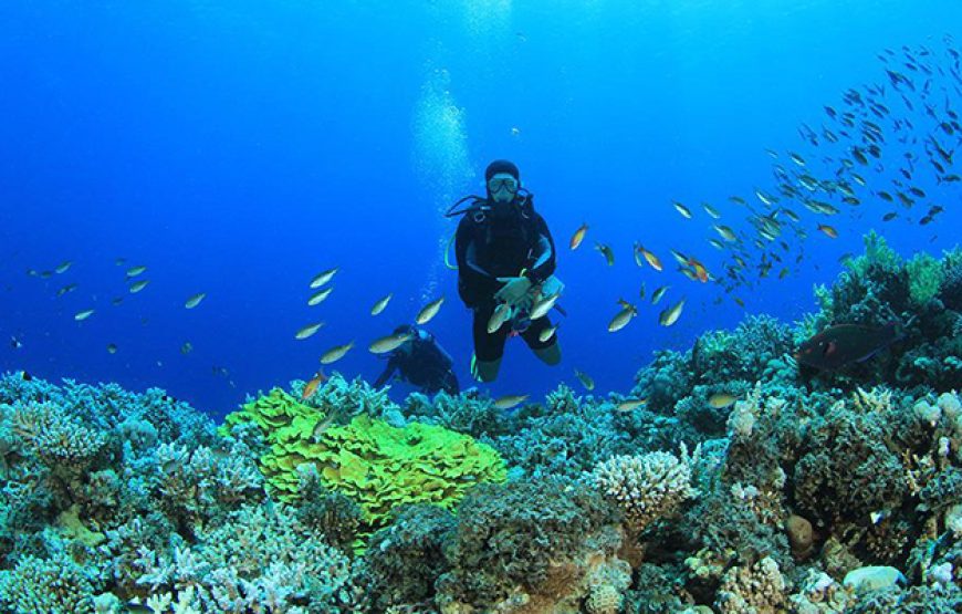 Scuba Diving in Hurghada