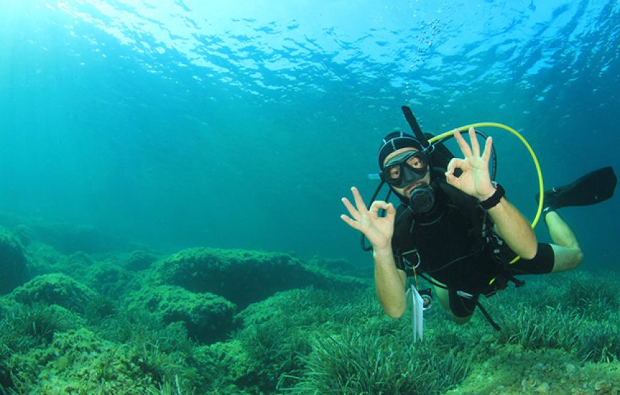 Scuba Diving in Hurghada