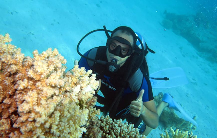 Scuba Diving in Hurghada