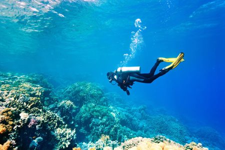 Scuba Diving in Hurghada
