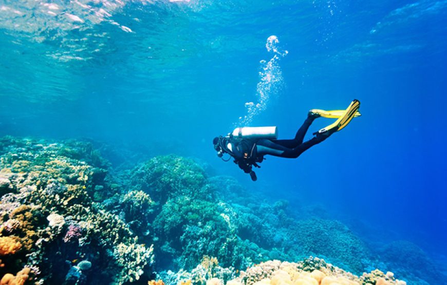 Scuba Diving in Hurghada
