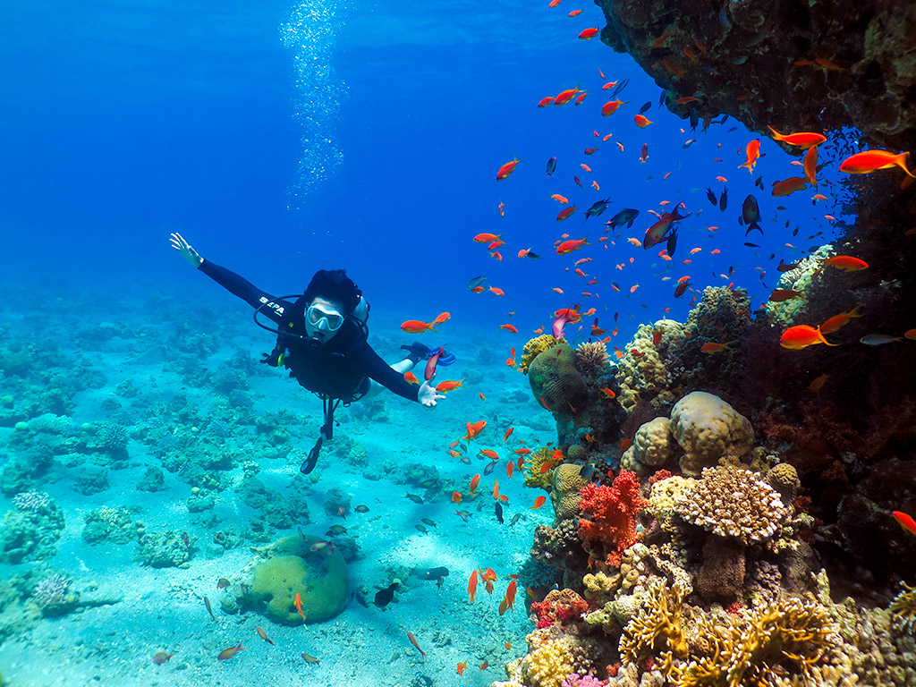 Scuba Diving in Nuweiba