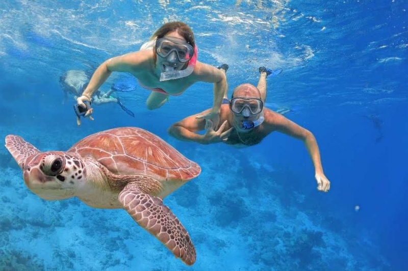 Snorkeling Day Tour in El Gouna
