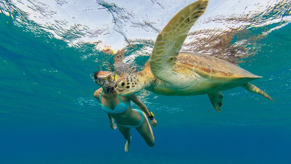 Snorkeling Day Tour in El Gouna