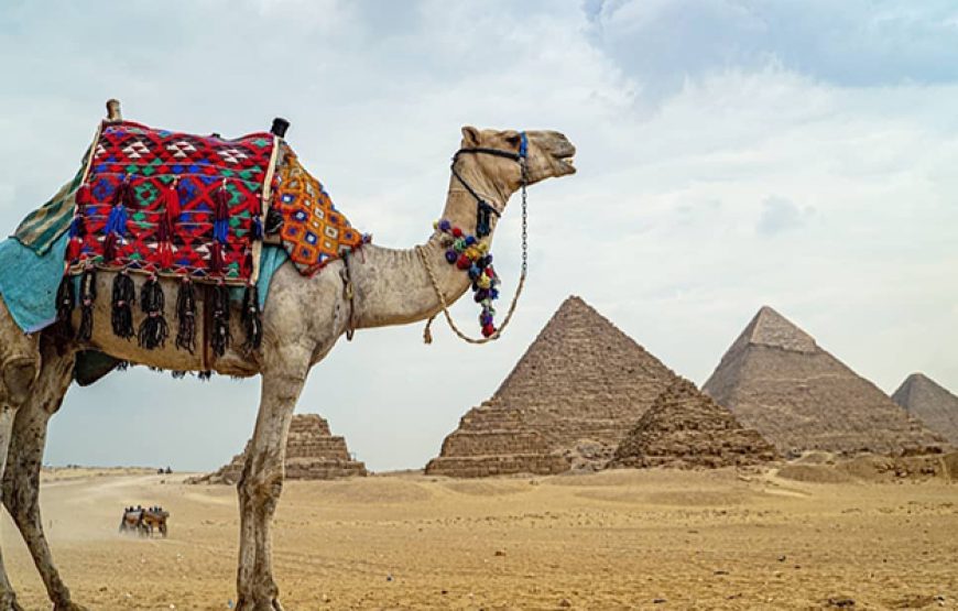 Cairo by Plane from Sharm El Sheikh