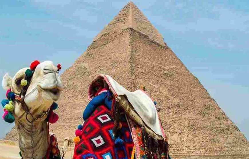 Cairo by Plane from Sharm El Sheikh