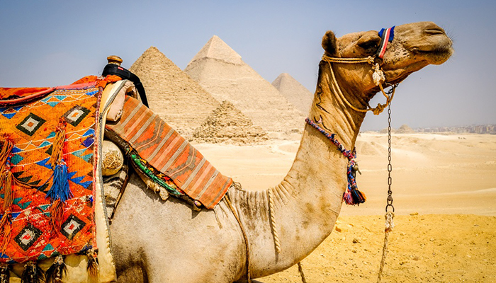 Day Tour to Cairo by Car from Sharm El Sheikh