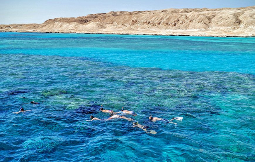 Snorkeling and Diving at Ras Muhammad National Park