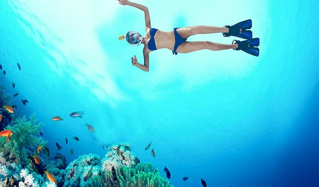 Snorkeling Day Tour in Nuweiba