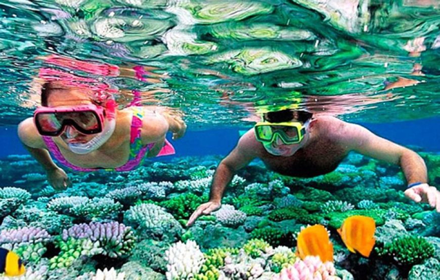 Snorkeling Day Tour in Hurghada