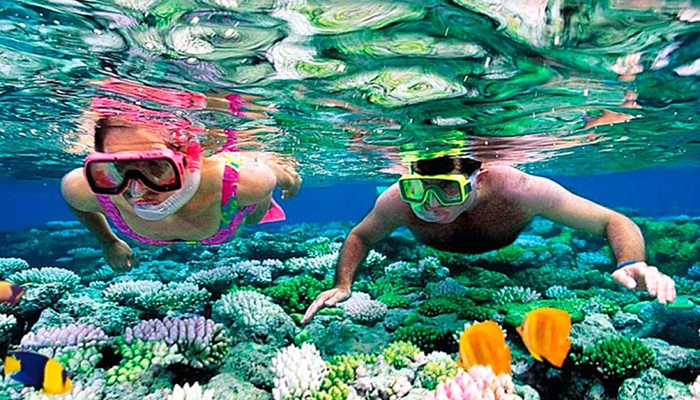 Snorkeling Day Tour in Hurghada
