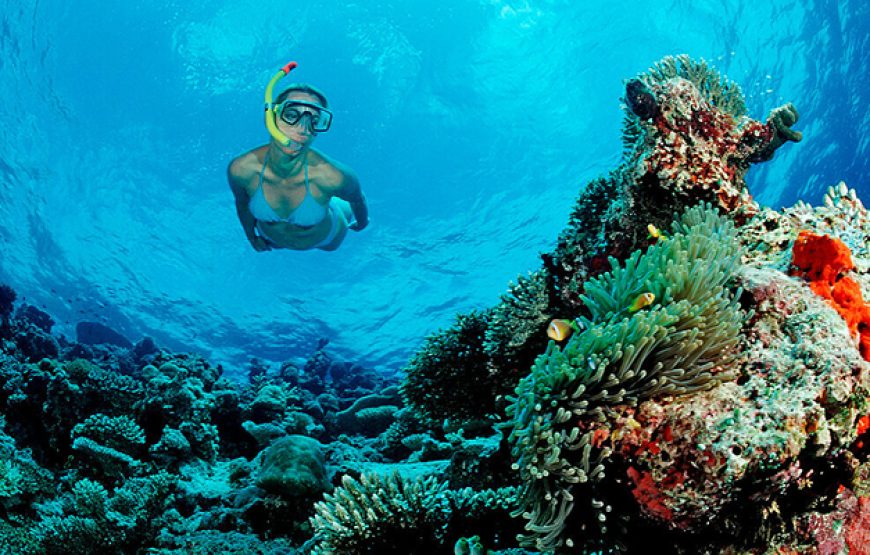 Snorkeling Day Tour in Hurghada