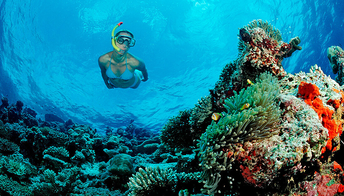 Snorkeling Day Tour in Hurghada