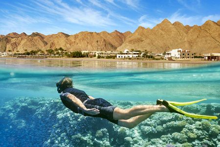 Snorkeling Day Tour in Hurghada