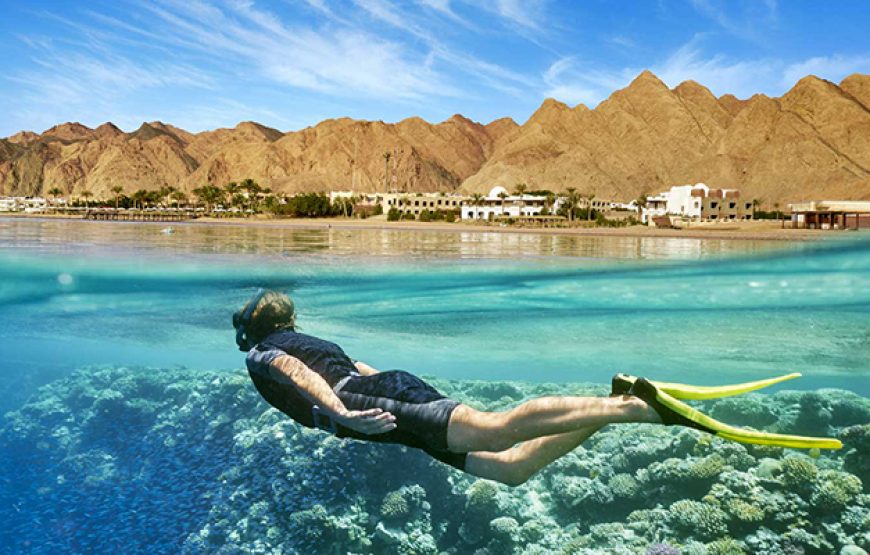 Snorkeling Day Tour in Hurghada