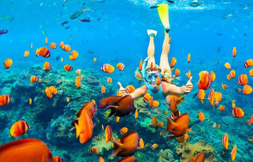 Snorkeling Day Tour in Hurghada