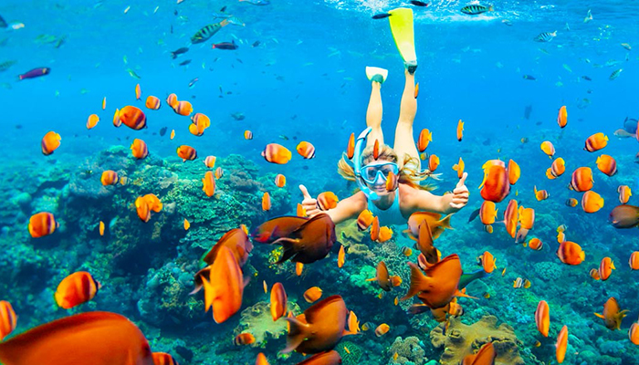 Snorkeling Day Tour in Hurghada