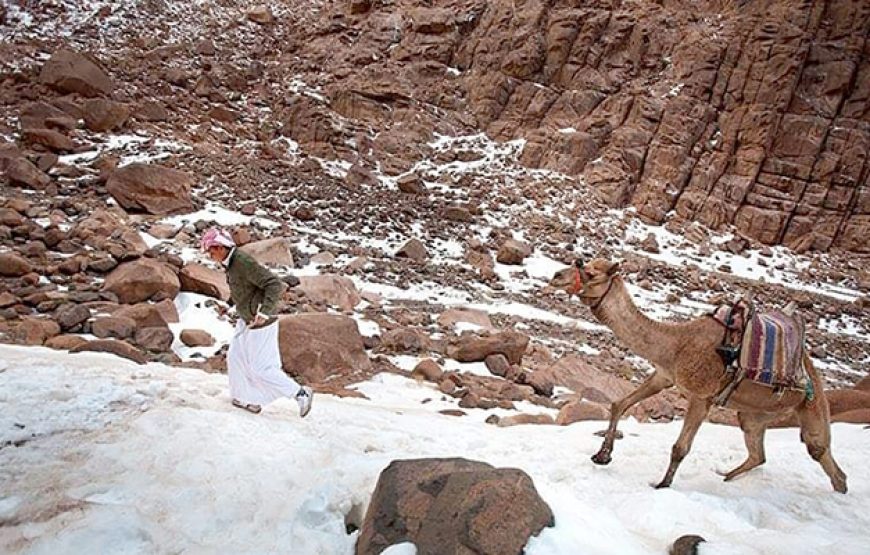 Day Tour to the Monastery of St. Catherine from Dahab by Car
