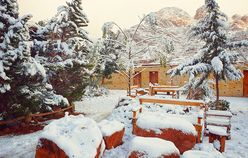 Day Tour to the Monastery of St. Catherine from Dahab by Car